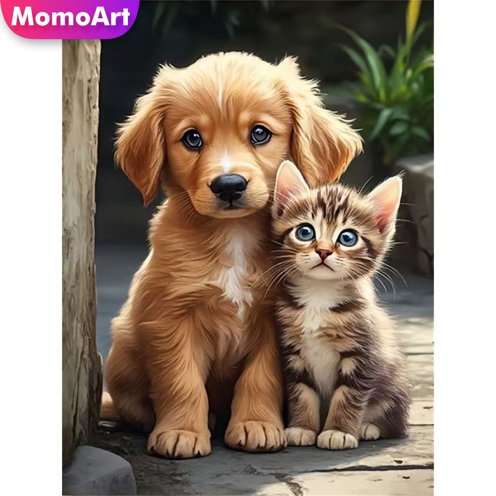 모모아트 다이아몬드 자수 개 동물 그림 고양이 패턴 성 - Resin Craft For Beginners 리뷰 및 가격